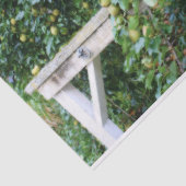 Bartlett peren op de ontkoppeling van het boomeffe tissuepapier (Detail)