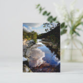 Barton Creek 10 - Austin Texas Briefkaart (Staand voorkant)