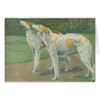 Barzoï (chien-loup russe)
