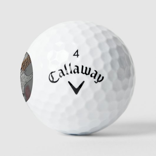 Bas 4 css gbcna golfballen (Logo)