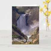 Bas-Chute-Yellowstone, vous manquant carte de (Fleur jaune)