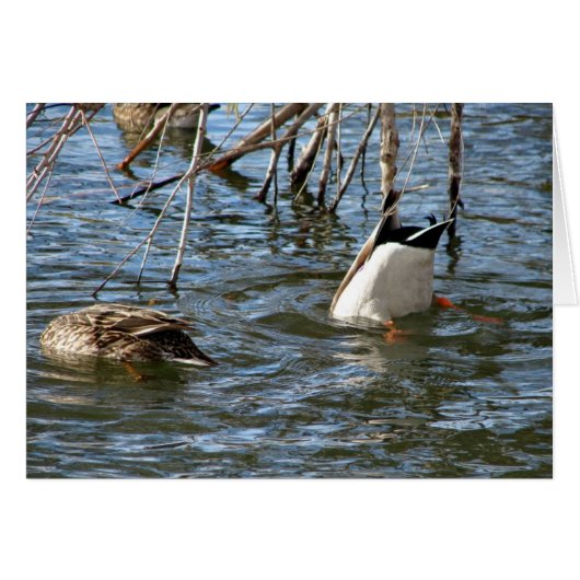 Bas vers le haut (Devant horizontal)