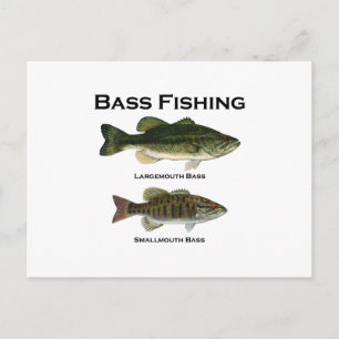 Bas Vissen Logo (largemouth - smallmouth) Briefkaart