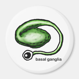 Basal Ganglia Magnet Magneet