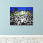 Basalformaties van Devils Postpile Canvas Afdruk (Insitu (Houten vloer))