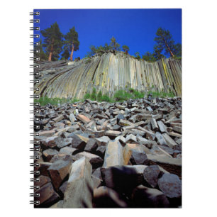 Basalformaties van Devils Postpile Notitieboek