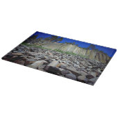 Basalformaties van Devils Postpile Snijplank (Hoek)