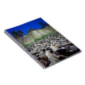 Basalt Formations of Devils Postpile Notitieboek (Rechterzijde)