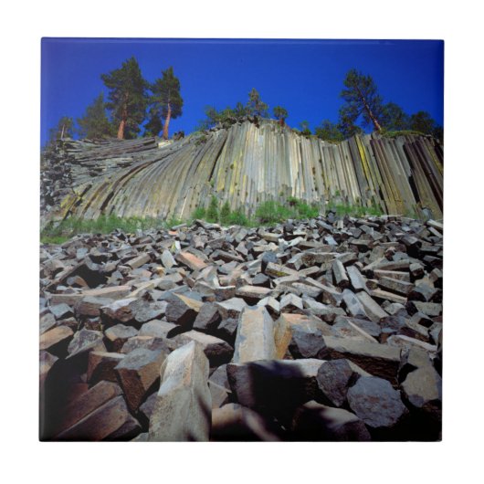 Basalt Formations of Devils Postpile Tegeltje (Voorkant)