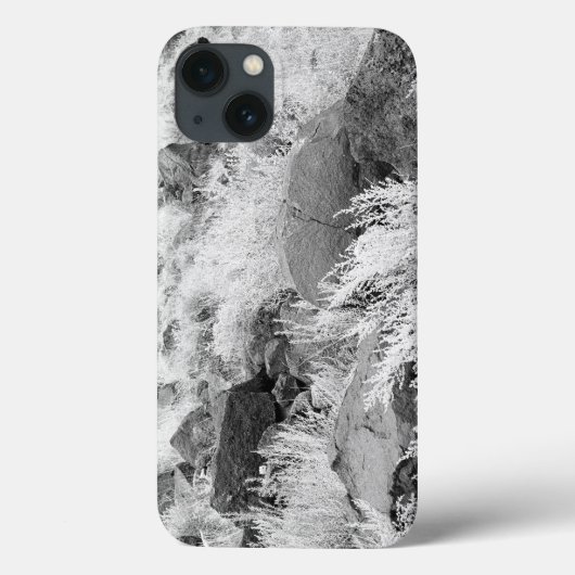 Basaltveld Case-Mate iPhone Case (Achterkant)