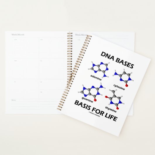Base de base d'ADN pour la structure moléculaire d (Devant avec enveloppe)