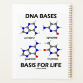 Base de base d'ADN pour la structure moléculaire d (Dos)
