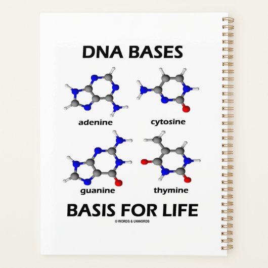 Base de base d'ADN pour la structure moléculaire d (Dos)