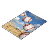 Baseball, Baseball en Carnet aérien (Côté gauche)