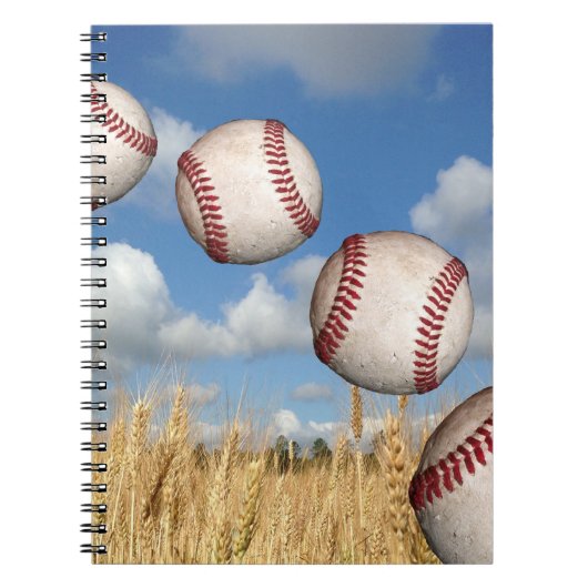 Baseball, Baseball en Carnet aérien (Devant)