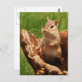 Baseball Loving Chipmunk Briefkaart (Voorkant / Achterkant)