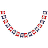 Baseball Party Vlaggetjes (Alle)