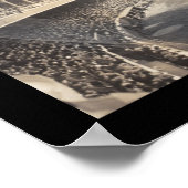 Baseball Polo Grounds Foto 1910 Poster (Hoek)