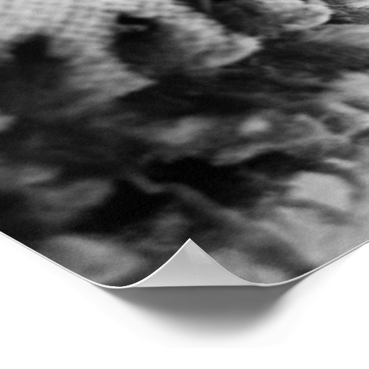 Baseball Poster (Hoek)