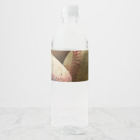 Baseballen en handschoen