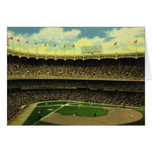  Basebalstadion sport met gewassen
