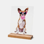 Basenji (Angle)
