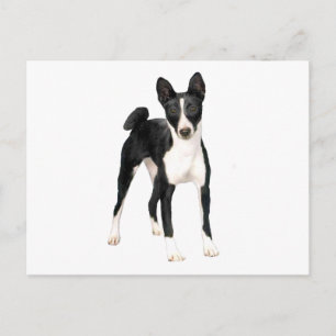 Basenji (B) - zwart-wit Briefkaart