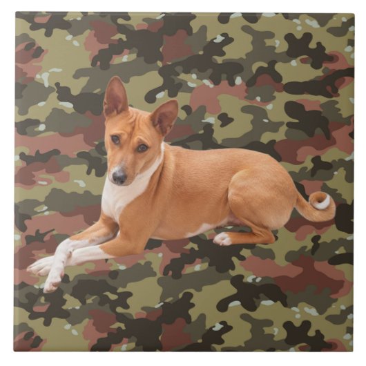 Basenji Dog  Tegeltje (Voorkant)