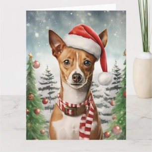 Basenji Hond Kerstmis Kerstman Poesjelientje Kaart