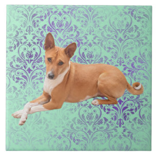 Basenji hond  tegeltje