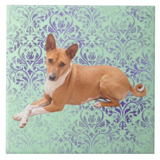 Basenji hond tegeltje (Voorkant)