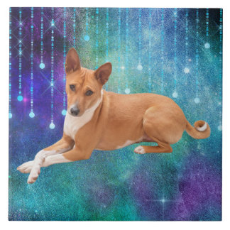 Basenji hond tegeltje