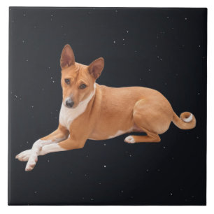 Basenji hond tegeltje