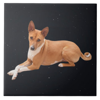 Basenji hond  tegeltje