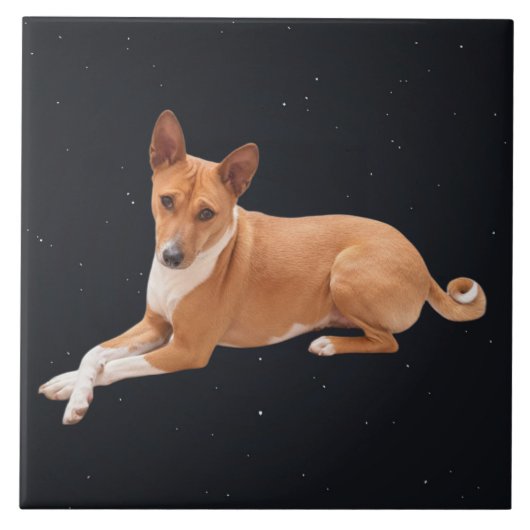 Basenji hond  tegeltje (Voorkant)