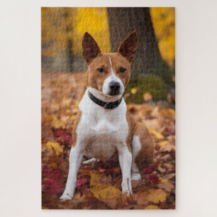 Basenji in Herfst laat Herfst inspireren Legpuzzel