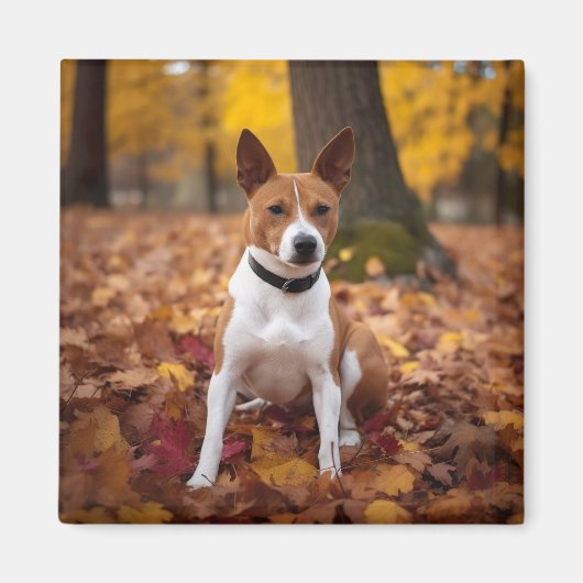 Basenji in Herfst laat Herfst inspireren Magneet (Voorkant)
