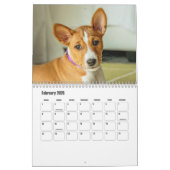 Basenji-kalender Kalender (Feb 2026)