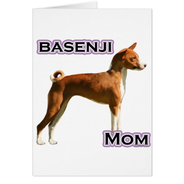 Basenji Maman 4 (Devant)