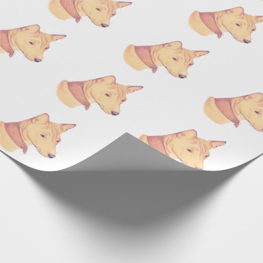 Basenji pakpapier (Hoek)
