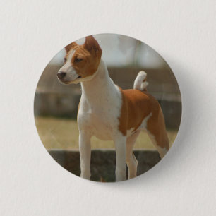 Basenji Pin Ronde Button 5,7 Cm
