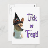 Basenji Trick Briefkaart (Voorkant / Achterkant)