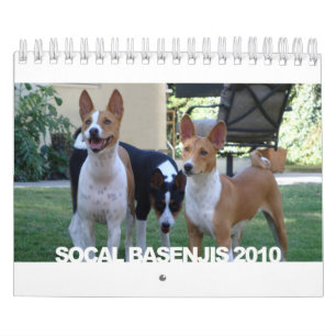 Basenjis van de Sociale Kalender 2010