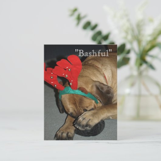 Bashful English Mastiff Dog with Reindeer Antlers Briefkaart (Staand voorkant)