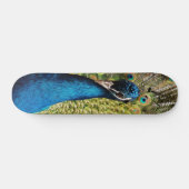 Bashful Peacock Skateboard (Horizontaal)