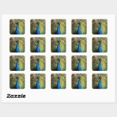 Bashful Peacock Vierkante Sticker (Vel)