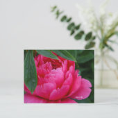 Bashful Pink Peony Briefkaart (Staand voorkant)