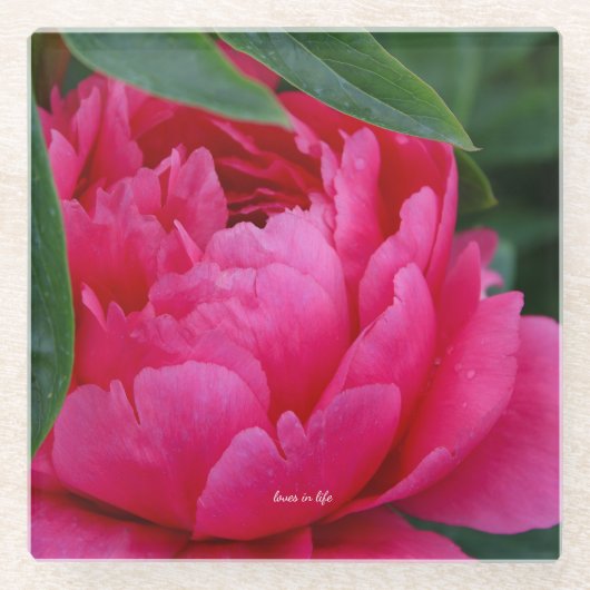 Bashful Pink Peony Glazen Onderzetter (Voorkant)