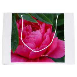 Bashful Pink Peony Groot Cadeauzakje