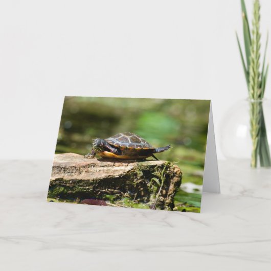 Bashful Turtle Birthday Card, 5x7 Kaart (Voorkant)